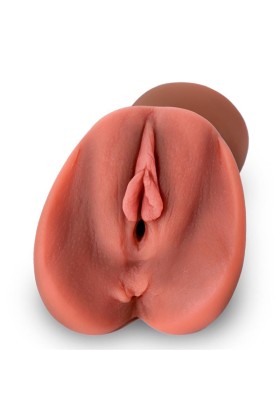 Anne Superrealistische Vagina und Anus 695 gr von Liketrue kaufen | Fesselliebe