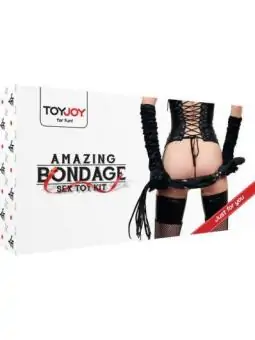 Fantastisches Bondage-Sexspielzeug-Kit von Toyjoy kaufen - Fesselliebe
