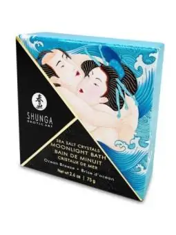 Ocean Tempations Badesalz 75gr von Shunga Erotic Art kaufen - Fesselliebe