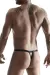 2er Pack Harness String Bri010 Schwarz von Regnes Fetish Planet