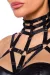 Harness-Wetlook-Set mit Rock 18263 von Saresia