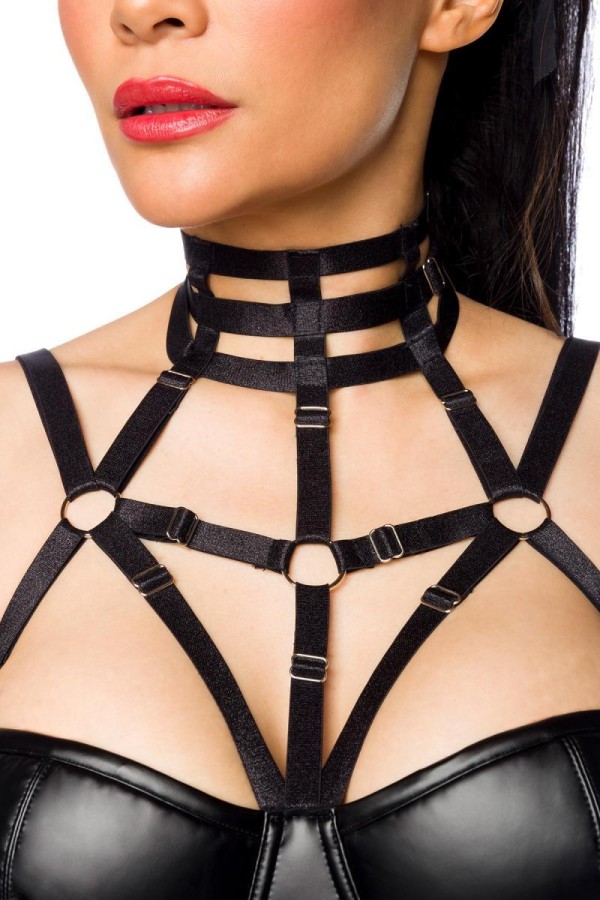 Harness-Wetlook-Minikleid 18266 von Saresia kaufen | Fesselliebe