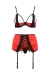 Rotes Set Pa595309 von Passion Devil Collection