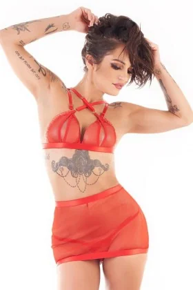 Rotes Set Ms-S0201 von Meseduce