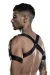 Harness Outfit 18276 von Saresia Men Roleplay