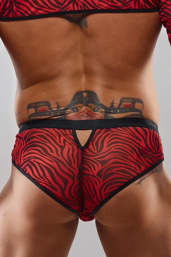 Netz-Slip Resamuel001 Schwarz/Rot von Rfp Razor’s Edge Kollektion kaufen | Fesselliebe
