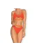 Miamelle Bikini Orange von Obsessive