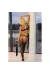 Nadri Bodystocking Schwarz von Livco Corsetti Fashion