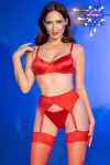 Satin-Set Cr4670 Rot von Chilirose kaufen - Fesselliebe