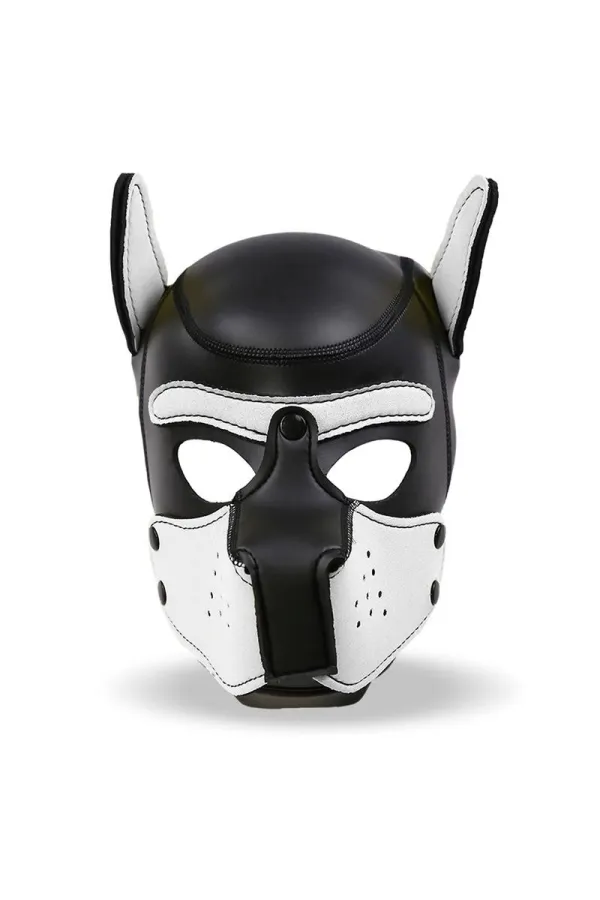 Hound Hundehaube Aus Neopren mit Abnehmbarem Maulkorb, Weiss/Schwarz, Einheitsgrösse von Intoyou Bdsm Line kaufen - Fesselliebe