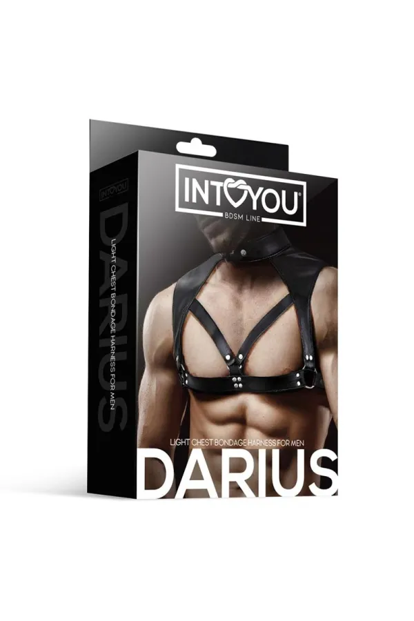 Darius Brust-Bondage-Geschirr für Männer Aus Veganem Kunstleder von Intoyou Bdsm Line kaufen - Fesselliebe