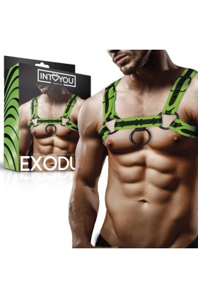 Im Dunkeln leuchtender Bondage-Brustgurt von Intoyou Shining Line kaufen | Fesselliebe