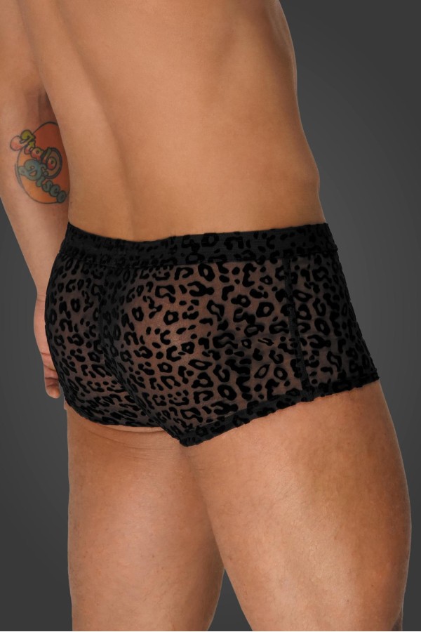 Leopard Flock Shorts H072 von Noir Handmade Aplpha Collection kaufen | Fesselliebe