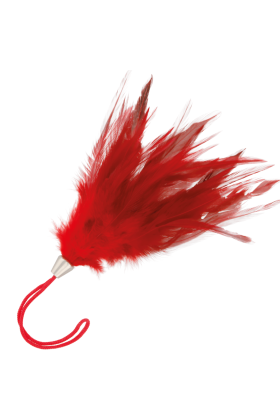 Roter Stimulierstift 17 cm von Darkness Sensations kaufen | Fesselliebe