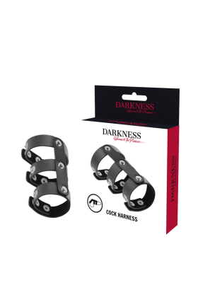 Verstellbarer Doppel-Penis- und Hodenring aus Leder von Darkness Bondage kaufen | Fesselliebe
