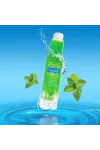 Tingle Mint Gleitgel 75 ml von Pasante kaufen - Fesselliebe