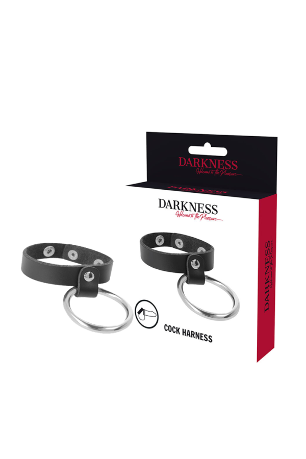 Metallring für Penis und Hoden von Darkness Bondage kaufen | Fesselliebe