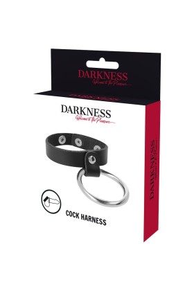 Metallring für Penis und Hoden von Darkness Bondage kaufen | Fesselliebe