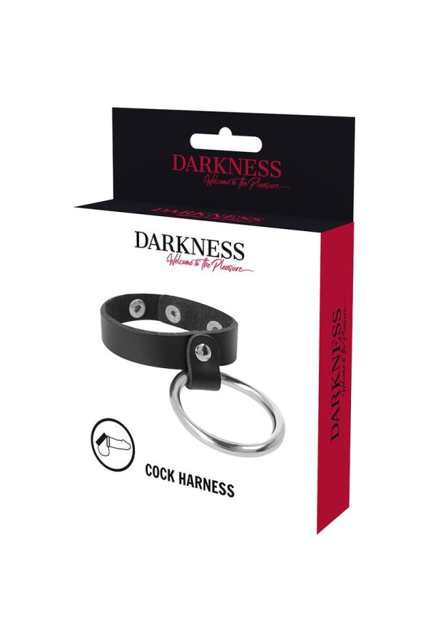 Metallring für Penis und Hoden von Darkness Bondage kaufen | Fesselliebe