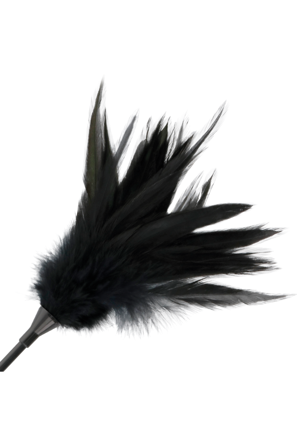 Schwarze Federpeitsche von Darkness Sensations kaufen | Fesselliebe