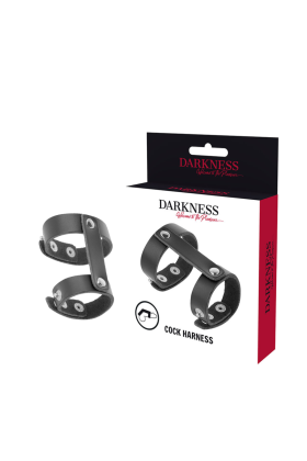 Verstellbarer Penis- und Hodenring aus Leder von Darkness Bondage kaufen | Fesselliebe