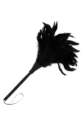 Schwarzer Lux-Stimulierender Stift von Darkness Sensations kaufen | Fesselliebe