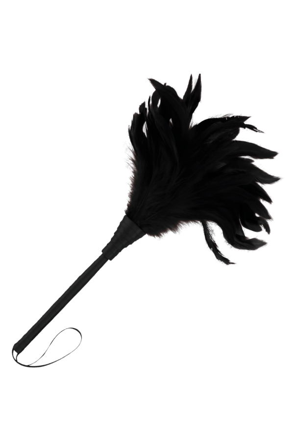 Schwarzer Lux-Stimulierender Stift von Darkness Sensations kaufen | Fesselliebe