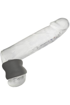Alpha Scrotum Dehnungsring Schwarz von Calexotics kaufen | Fesselliebe
