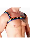 Doppelgeschirr Pride Limited von Macho Underwear kaufen - Fesselliebe