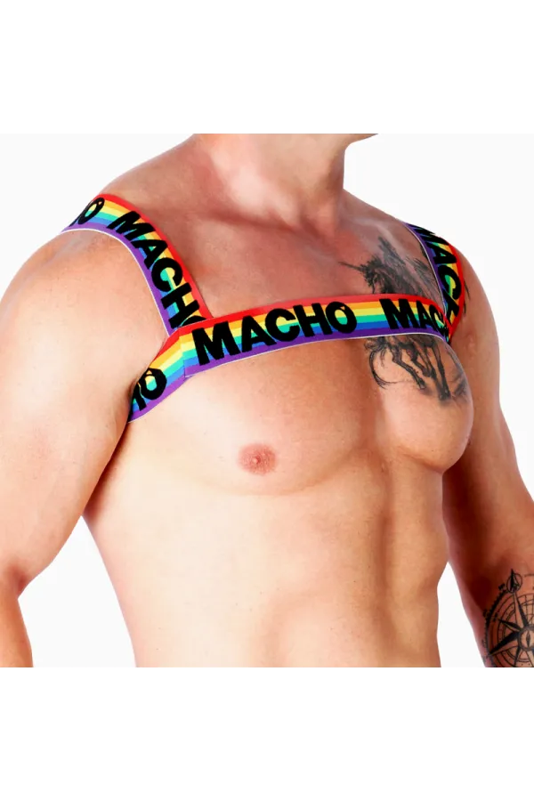 Doppelgeschirr Pride Limited von Macho Underwear kaufen - Fesselliebe