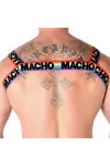 Doppelgeschirr Pride Limited von Macho Underwear kaufen - Fesselliebe