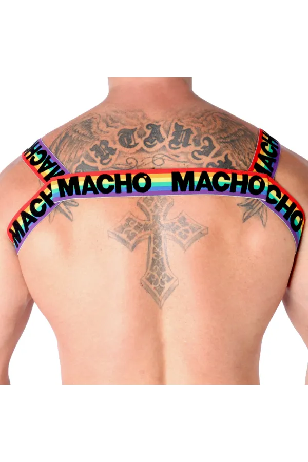 Doppelgeschirr Pride Limited von Macho Underwear kaufen - Fesselliebe