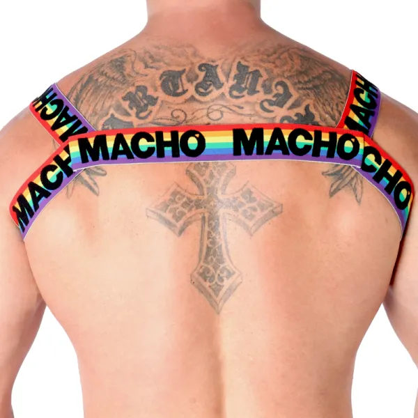 Doppelgeschirr Pride Limited von Macho Underwear kaufen | Fesselliebe