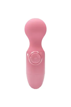 Rosa Mini-Persönliches Massager von Pretty Love