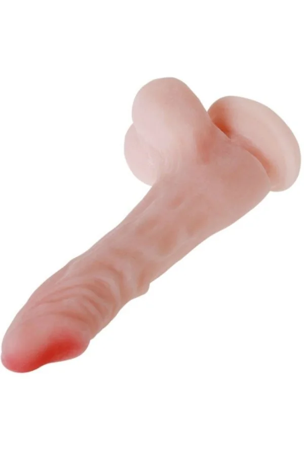 Ccock Natürlicher Realistischer Dildo 21,6 Cm von Baile Dildos kaufen - Fesselliebe