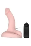 Willkürlichkeit Dildo Vibrator Realistisch von Baile Vibrators kaufen - Fesselliebe