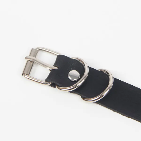 Strumpfhose mit Ringen, Einheitsgrösse von Subblime Fetish kaufen | Fesselliebe