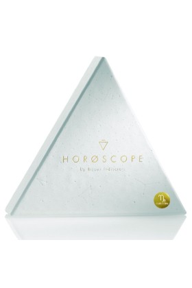 Horoskop-Kit Steinbock von Bijoux Horoscope kaufen | Fesselliebe