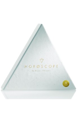 Horoskop-Kit Fische von Bijoux Horoscope kaufen | Fesselliebe