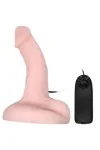 Willkürliche Dildo-Vibrations- und Rotationsfunktion von Baile Vibrators kaufen - Fesselliebe