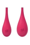 Yoni Power 1 Trainingsset - Rot von Satisfyer kaufen - Fesselliebe