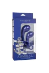 SET 2 ANALPLUG BLAU VON ADMIRAL kaufen - Fesselliebe