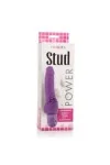 Calex Power Stud Vibrator lila von California Exotics kaufen - Fesselliebe