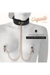 Fantasy Halsband mit Nipples Clamps von Coquette Fantasy kaufen - Fesselliebe