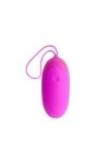 Egg Berger Fernbedienung 12v von Pretty Love Smart kaufen - Fesselliebe