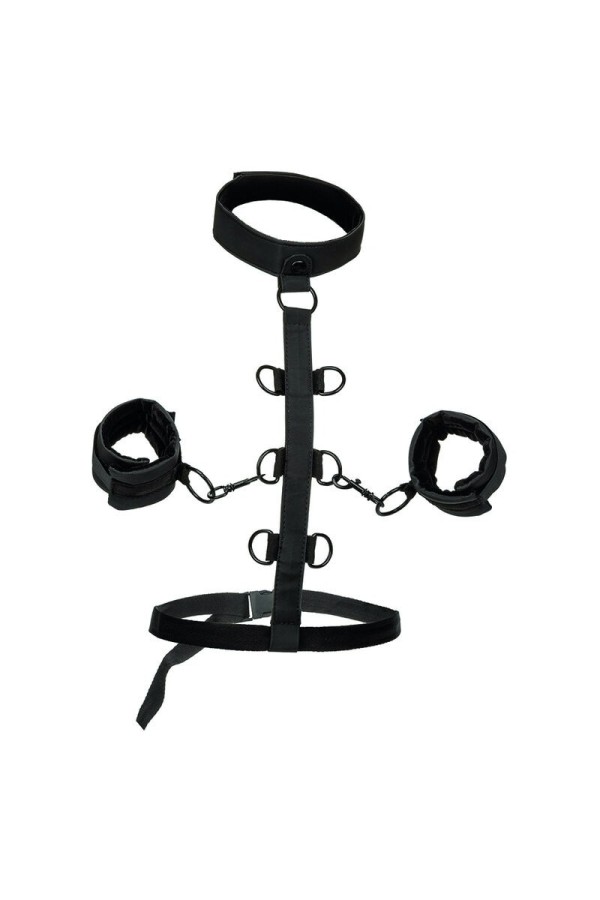 Boundless Kragenkörperführung von Calexotics kaufen | Fesselliebe