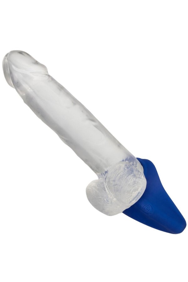 Admiral Dammmassager Blau von Calexotics kaufen | Fesselliebe