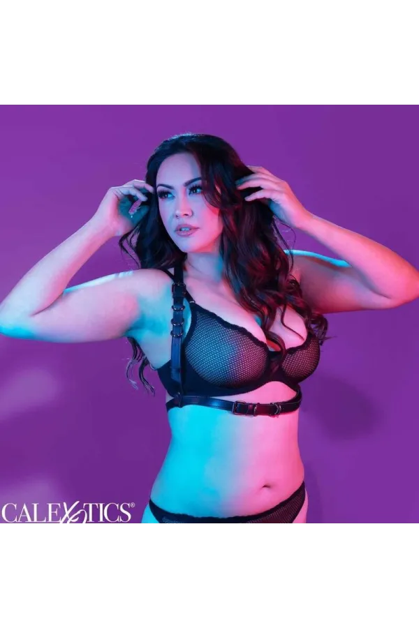 CALIFORNIA EXOTICS - EUPHORIA PLUS SIZE BUCKLE HARNESS SCHWARZ kaufen - Fesselliebe