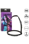 CALIFORNIA EXOTICS - EUPHORIA PLUS SIZE BUCKLE HARNESS SCHWARZ kaufen - Fesselliebe