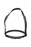 CALIFORNIA EXOTICS - EUPHORIA PLUS SIZE BUCKLE HARNESS SCHWARZ kaufen - Fesselliebe